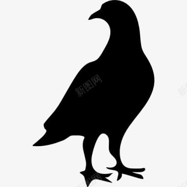 鸽鸟形图标图标