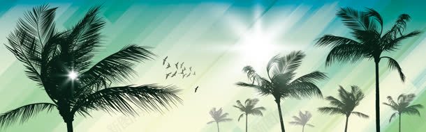 精美棕榈树banner背景jpg设计背景_新图网 https://ixintu.com 棕榈树