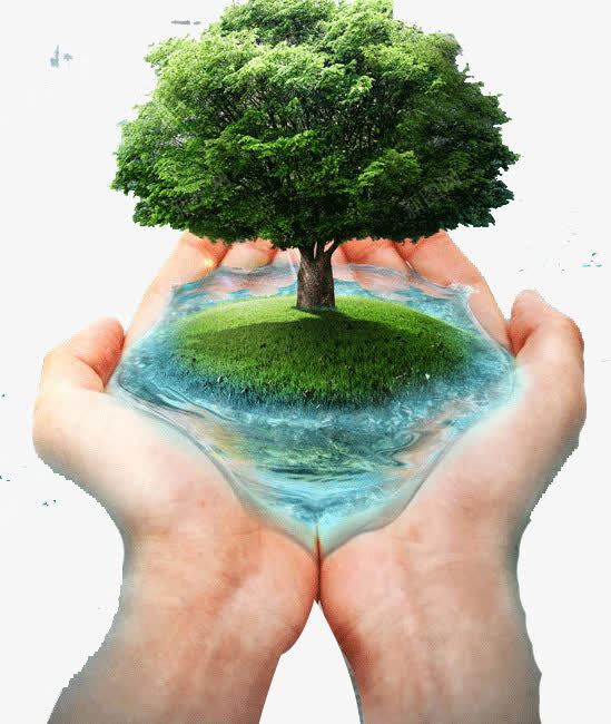 手掌上的小树png免抠素材_新图网 https://ixintu.com 保护环境 小树 手 水 绿色