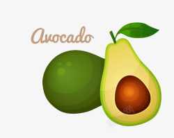 Avocado牛油果矢量图高清图片