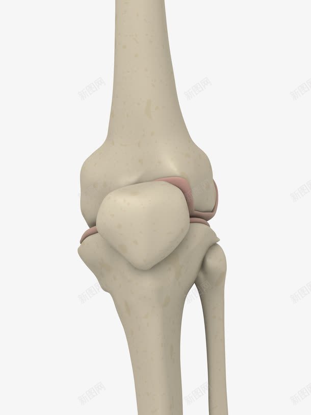 人体关节png免抠素材_新图网 https://ixintu.com 人体 关节 关节疼 关节痛 刺疼 剧痛 忍受 疼 疼痛 疾苦 痛 痛楚 痛苦