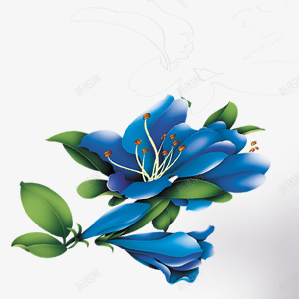蓝色花朵png免抠素材_新图网 https://ixintu.com 白色花蕊 绿叶 蓝色花