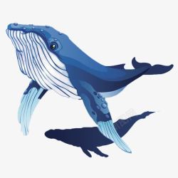 卡通一只蓝色可爱的座头鲸插画免素材