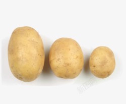 三个马铃薯土豆高清图片