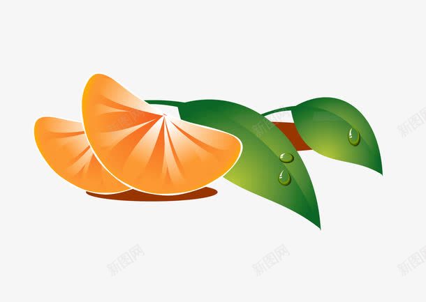 砂糖橘图案png免抠素材_新图网 https://ixintu.com 橘子瓣 砂糖橘 绿叶 蜜橘 金橘