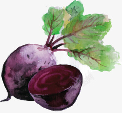 水彩紫色蔬菜萝卜矢量图素材