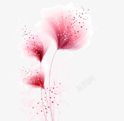 唯美花卉背景素材