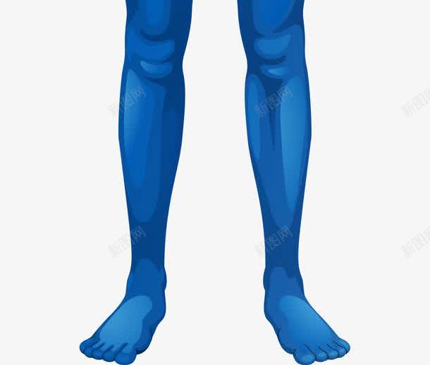 人体器官png免抠素材_新图网 https://ixintu.com 人体 人体器官 卡通肢体 四肢 肢体 肢体图 蓝色人体 躯干