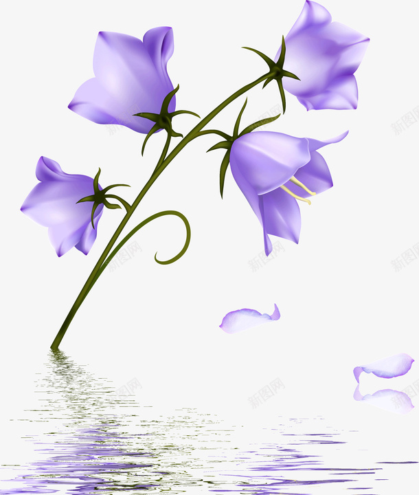 3D紫色鲜花png免抠素材_新图网 https://ixintu.com 3D 紫色 鲜花