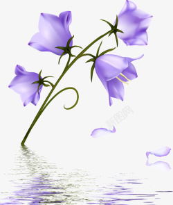 3D紫色鲜花素材