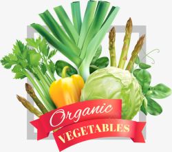 写实蔬菜飘带标签素材