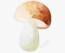 水彩画蘑菇素材