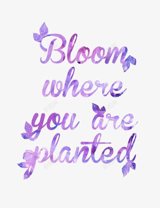 字体英文字体装饰png免抠素材_新图网 https://ixintu.com Bloom are planted where you 文字排版 英文字体设计 英文字装饰