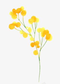 水彩绘黄色花朵树枝素材