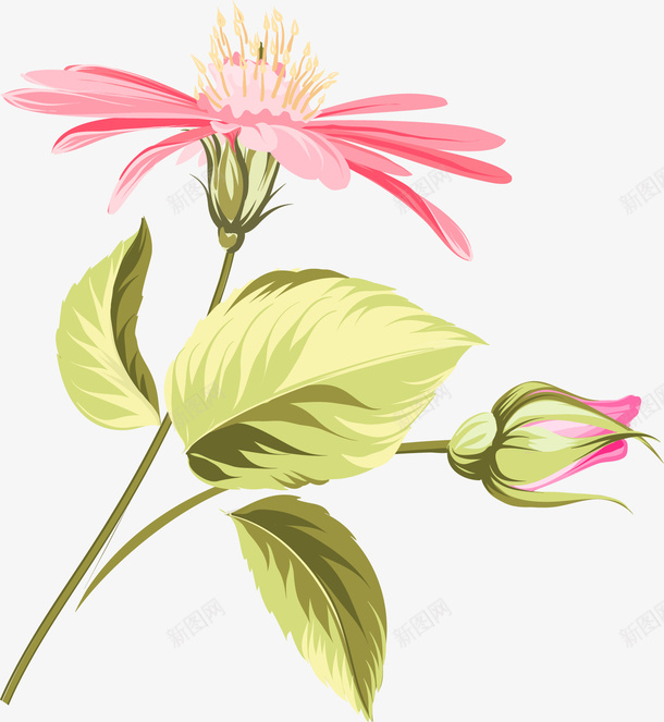 手绘粉色的花朵图png免抠素材_新图网 https://ixintu.com 创意 卡通手绘 唯美 小清新 植物 水彩 花卉 花朵