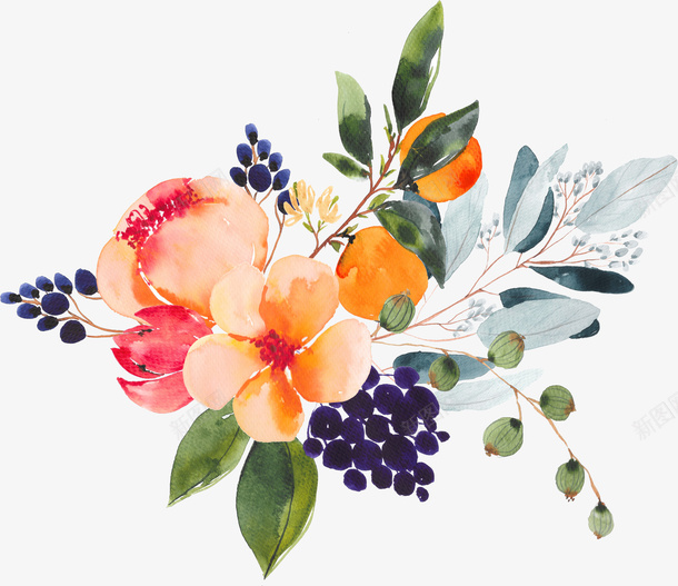 彩色手绘的花朵植物png免抠素材_新图网 https://ixintu.com 彩色花朵 手绘植物 手绘花朵 植物 绿植 花卉 花朵