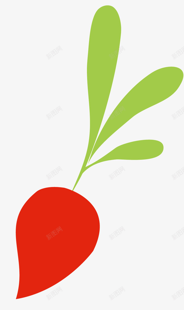 一个红色的萝卜矢量图ai免抠素材_新图网 https://ixintu.com 小萝卜 水果蔬菜 红色的萝卜 绿色的叶子 食品 食物 矢量图