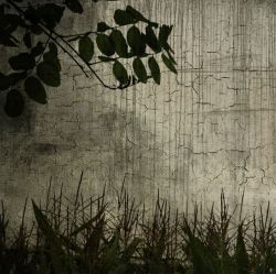 朦胧花卉艺术展有纹理的树叶绿草背景高清图片