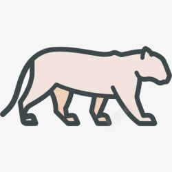 野生东北虎的生活东北虎图标高清图片