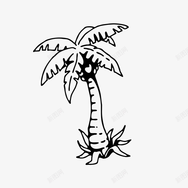 手绘椰子树图标png_新图网 https://ixintu.com 叶子 手绘 椰子 黑色