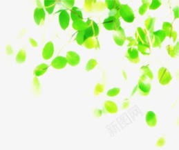绿色植物叶子飘扬效果png免抠素材_新图网 https://ixintu.com 叶子 效果 绿色植物 飘扬