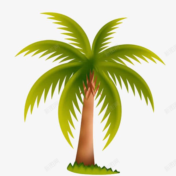 散开的椰子叶png免抠素材_新图网 https://ixintu.com 卡通 树叶 植物 椰子叶 椰子树 装饰