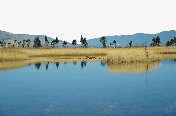 鹤庆草海png免抠素材_新图网 https://ixintu.com 云南鹤庆草海 旅游景区 著名景点 鹤庆草海