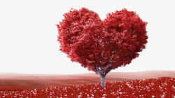 爱心树木清新红色爱心树高清图片