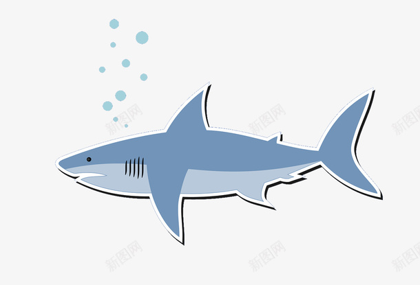 一条蓝色鲨鱼矢量图ai免抠素材_新图网 https://ixintu.com 一条鲨鱼 矢量鲨鱼 蓝色 蓝色鲨鱼 鲨鱼 鲨鱼PNG 矢量图
