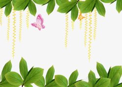 小黄花枝条蝴蝶装饰绿色树叶装饰海报背景高清图片