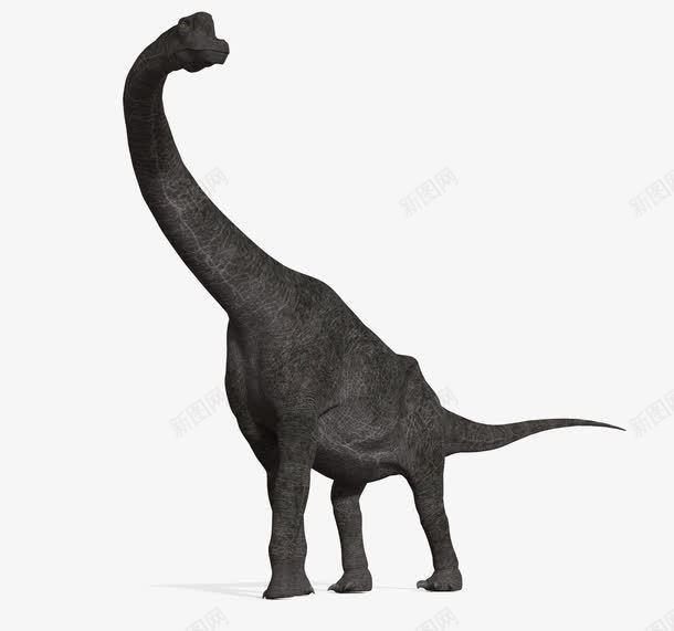 恐龙png免抠素材_新图网 https://ixintu.com 恐龙 暴王龙翼龙 脊背龙 走兽 食肉动物