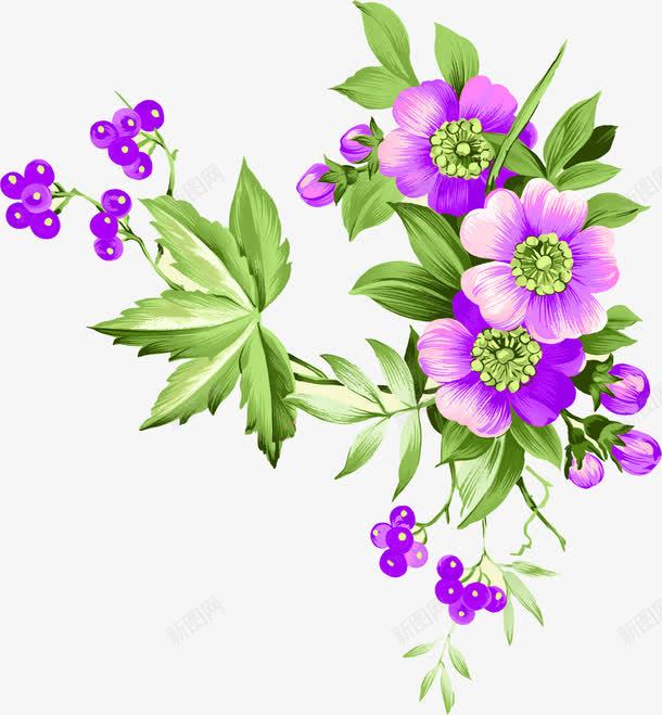 手绘紫色水彩小花植物png免抠素材_新图网 https://ixintu.com 植物 水彩 紫色