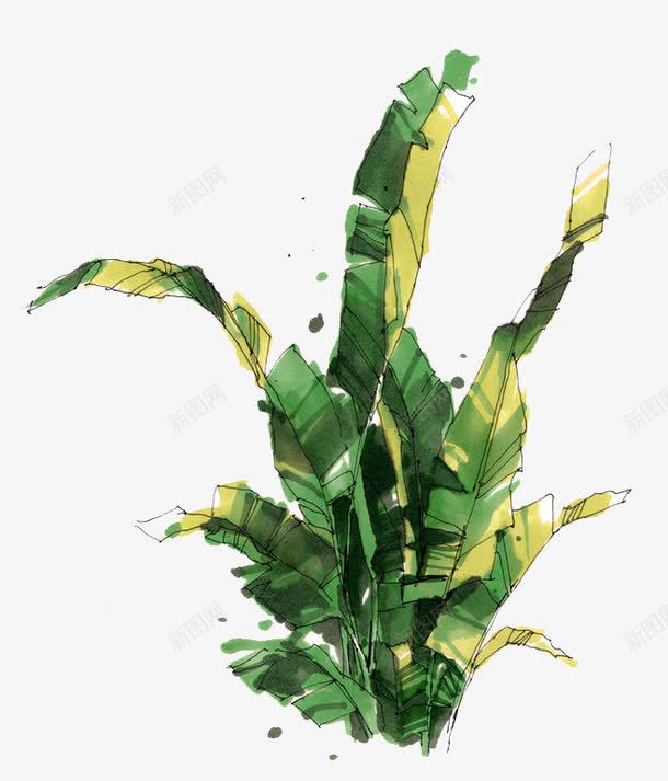 马克笔植物png免抠素材_新图网 https://ixintu.com 卡通 手绘 植物 装饰 马克笔