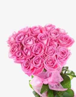 靓丽背景粉色玫瑰高清图片