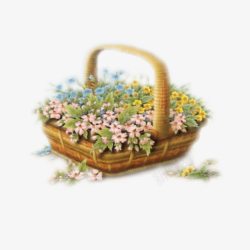 有篮子的小花编制篮里的小花插画高清图片