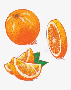 甜橙瓣水彩橙子高清图片