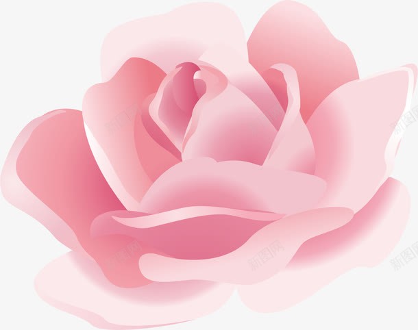 粉玫瑰花瓣png免抠素材_新图网 https://ixintu.com 浪漫 粉色 花朵 装饰
