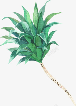 手绘水彩一株绿色植物素材