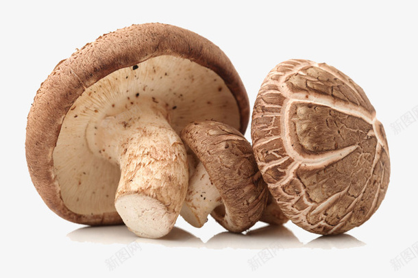 三个蘑菇png免抠素材_新图网 https://ixintu.com 菇类 蔬菜 蘑菇 食材