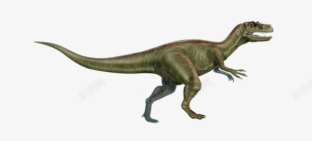 长尾恐龙png免抠素材_新图网 https://ixintu.com 动物 巨型 恐龙 长尾
