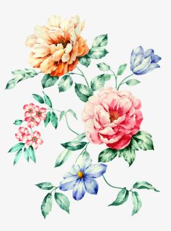 彩绘艺术花朵植物素材