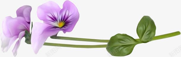 唯美花朵png免抠素材_新图网 https://ixintu.com 叶子 手绘 枝干 简图 紫色的 绿色的 花朵 花瓣 装饰