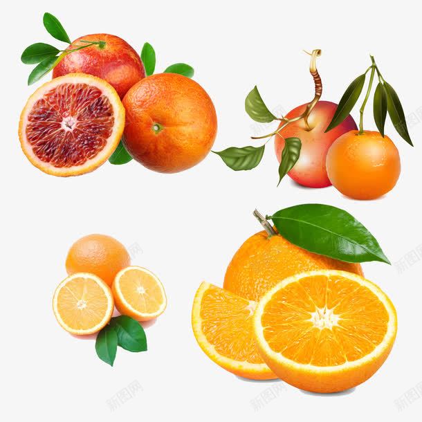 营养丰富的香橙psd免抠素材_新图网 https://ixintu.com 水果 血橙 香橙