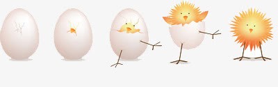 卡通版的鸡蛋孵化成小鸡的过程png免抠素材_新图网 https://ixintu.com 出壳 卡通 小鸡 鸡蛋