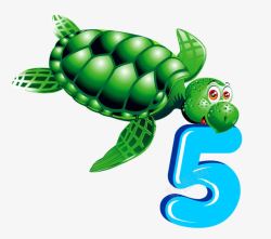海龟戏数字素材