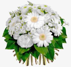 白色雏菊植物花束素材