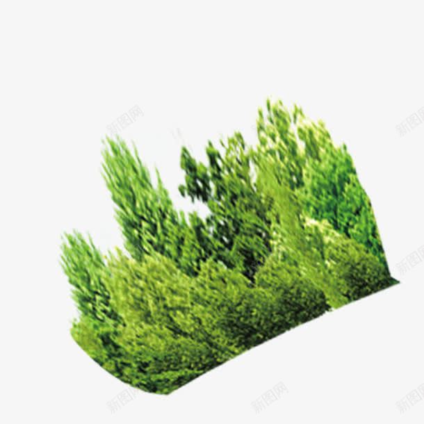 绿色植物丛png免抠素材_新图网 https://ixintu.com 景观 植物 灌木 绿化 绿色