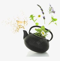 煮植物花茶的茶壶素材