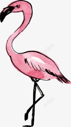 粉色鸵鸟鸵鸟水墨高清图片