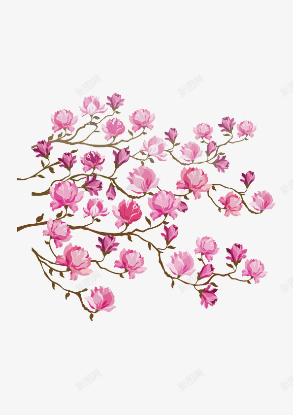 桃花png免抠素材_新图网 https://ixintu.com 树上的花 植物 粉红色花